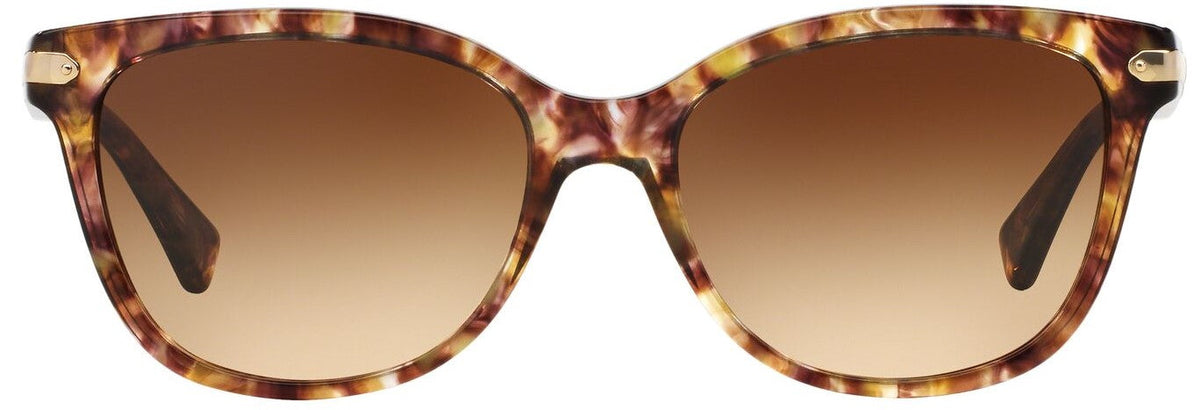 Coach HC8132 Sunglasses - Confetti Light Brown/Brown Gradient