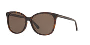 Coach HC8271U Women's Sunglasses - Dark Brown