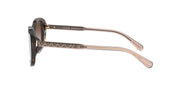 Coach HC8278 - Women's Sunglasses Rectangle Acetate - Dark Tortoise