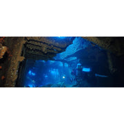 OM Digital Solutions Tough TG-7 12MP 4K 2160p Underwater Digital Camera, Black (V110030BU000)