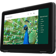 Dell 11.6" 3120 Multi-Touch 2-in-1 Chromebook - J9HDD