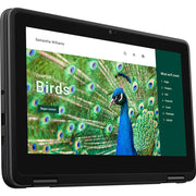 Dell 11.6" 3120 Multi-Touch 2-in-1 Chromebook - J9HDD