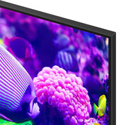 Samsung DU7200 75 Inch Crystal 4K UHD Smart TV (2024)