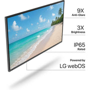 Sonagi Helios 55" UHD 4K Full Sun Outdoor TV +2YR Warranty + Deco Gear Accessory Bundle