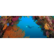OM Systems Tough TG-7 12MP 4K Underwater Digital Camera, Black Adventure 64GB Card Bundle