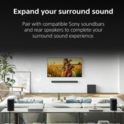 Sony SA-SW7 BRAVIA Theatre Sub 7 100W Wireless Subwoofer + 26 Month Protetcion