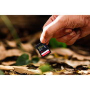 Sandisk NEW! 2TB Extreme PRO SD UHS-I V30 Memory Card, Up to 250MB/s Read (New 2026)