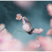 Bose QuietComfort Headphones - Petal Pink