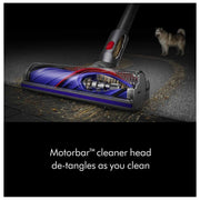 Dyson V8 Origin Extra SV25 Cordless Vacuum - Refurbished
