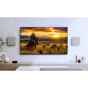 Sony  BRAVIA Theater Quad w/ 16 total speakers + 2x SA-SW8 Subwoofer + Warranty Pack