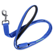 Deco Pet LED Dog Leash w/3 Light Modes for Night Safety, Battery-Powered - Blue