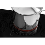 Frigidaire Gallery 36-inch Built-In Induction Cooktop with Sizing? Elements FGIC3666TB