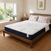 SilverRest Amelia 12" Firm Mattress - White