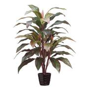 Allstate Floral 40" Cordyline Plant with Plastic Vase