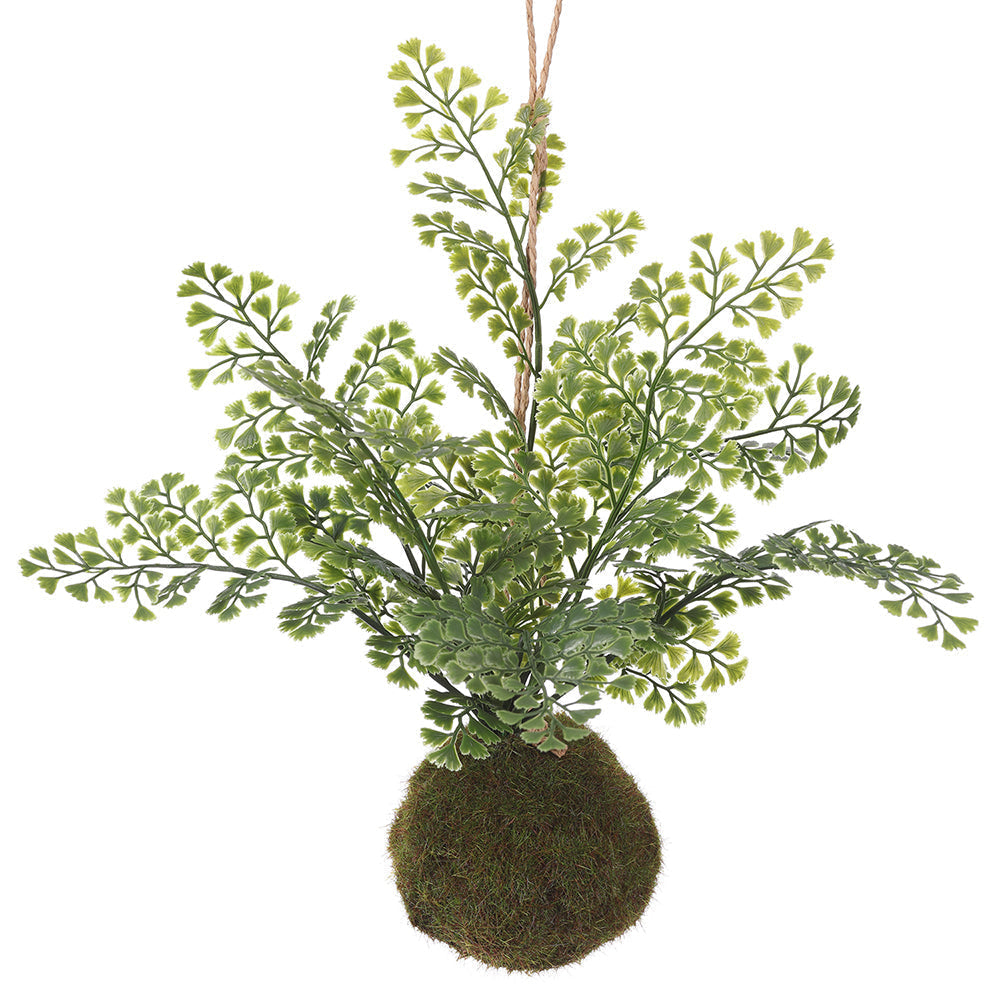 Allstate Floral 8" Maidenhair Fern Leaf Artificial Wall Plant with Moss Ball - Green