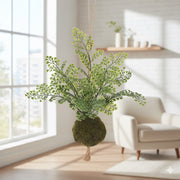 Allstate Floral 8" Maidenhair Fern Leaf Artificial Wall Plant with Moss Ball - Green