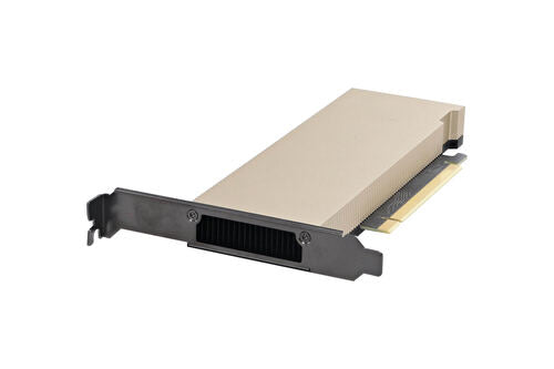 Dell NG3PY (Nvidia 900-2G193-0100-001) Nvidia L4 Ada 24 GB Graphics