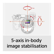 Sony ILCE-6600B a6600 APS-C Mirrorless Interchangeable-Lens Camera (Body Only)