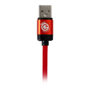 Deco Essentials 6FT Braided Type-C Charge & Sync USB Cable | Transfer Speeds Up to 480Mbps