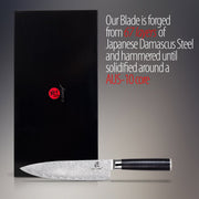 Deco Chef Chef Knife 8-inch Damascus Steel - 67 Layers AUS-10 Razor Sharp Japanese Quality