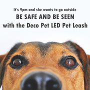 Deco Pet LED Dog Leash w/3 Light Modes for Night Safety, Battery-Powered - Blue