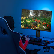 Deco Gear 28" 4K Ultrawide IPS Monitor, 60 Hz, 4 ms, 1 Billion Colors, 100% sRGB, 16:9