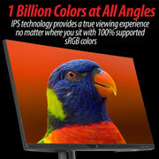 Deco Gear 28" 4K Ultrawide IPS Monitor, 60 Hz, 4 ms, 1 Billion Colors, 100% sRGB, 16:9