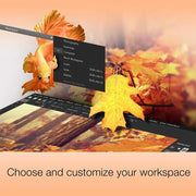 Corel Photo Video Suite PaintShop Pro with VideoStudio SE (Digital Download)