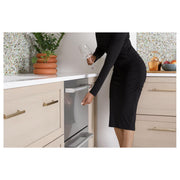 Café Built-in Dishwasher CDD420P2TS1