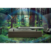 Sony 180-Watt Wireless Rear Speakers with Built-in Battery SA-RS5