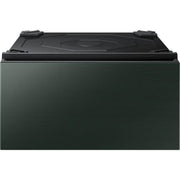 Samsung 27" Laundry Pedestal with Storage Drawer WE502NG/US