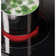 GE 30-inch Slide-in Electric Range with Crisp Mode GRS500PVSS