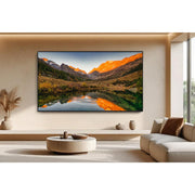 Samsung Samsung 115-inch Neo QLED 4K Vision AI Smart TV QN115QN90FFXZA QN115QN90FFXZA