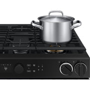 Samsung 30-inch Slide-in Dual Fuel Range with Wi-Fi NSY6DG8550SR/AA