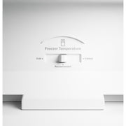 GE 30-inch, 21 cu. ft. Freestanding Top Freezer Refrigerator with Garage-Ready Performance GPS21KYZFS