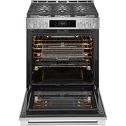 Frigidaire Professional 30-inch Gas Range with Stone-Baked Pizza PCFG3085BF