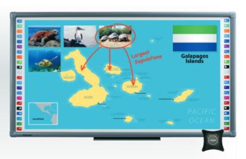 Actiontec SBTC90W Interactive Whiteboard